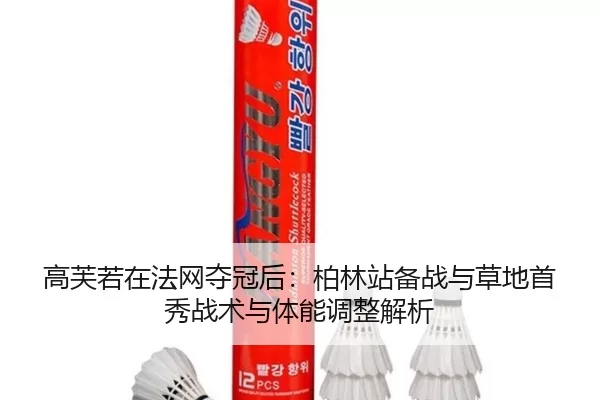 gao-fu-ruo-zai-fa-wang-duo-guan-hou-bo-lin-zhan-bei-zhan-yu-cao-di-shou-xiu-zhan-shu-yu-ti-neng-tiao-zheng-jie-xi-2-993.jpg