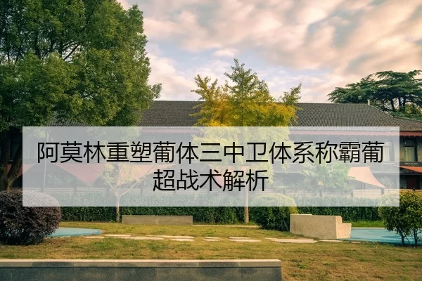 a-mo-lin-zhong-su-pu-ti-san-zhong-wei-ti-xi-cheng-ba-pu-chao-zhan-shu-jie-xi-2-435.jpg